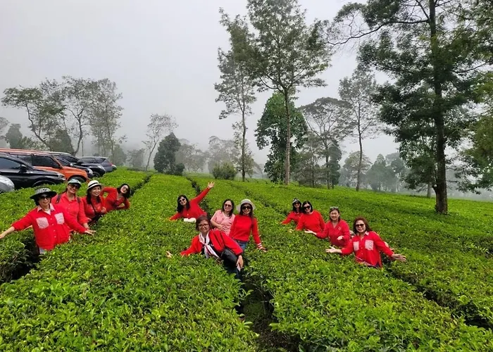 Homestay Ngaso Dalem